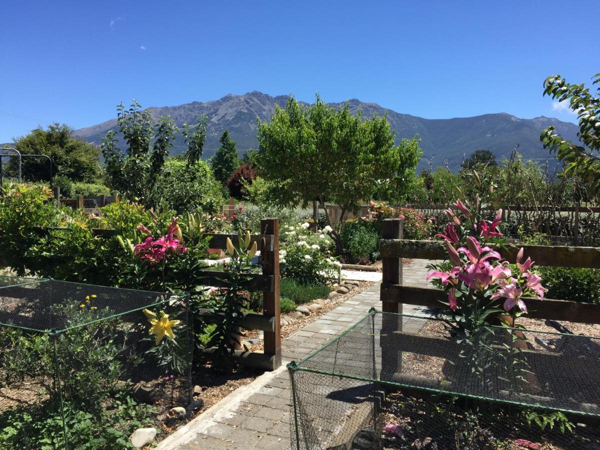 Birch Hill Cottage -30 Minutes From St Arnaud Wairau Valley Exterior foto