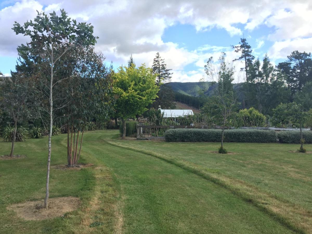 Birch Hill Cottage -30 Minutes From St Arnaud Wairau Valley Exterior foto